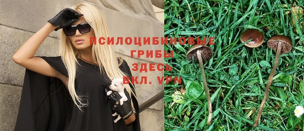 стаф Лихославль