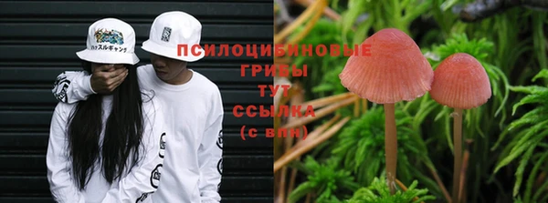 спайс Липки