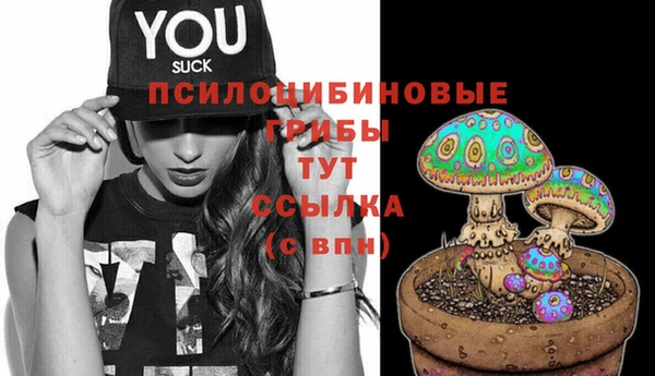 дурь Протвино
