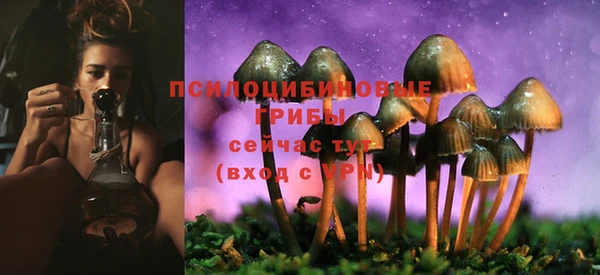спайс Липки