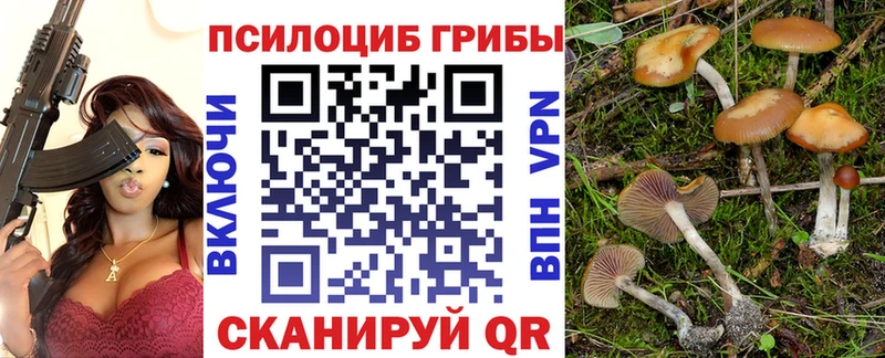 Галлюциногенные грибы Psilocybine cubensis Устюжна